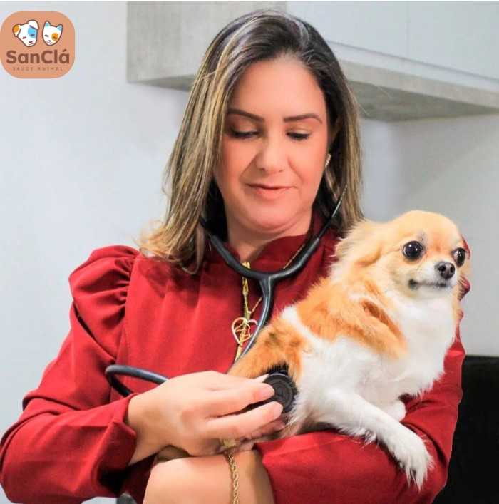 Dermatologia Landing Image