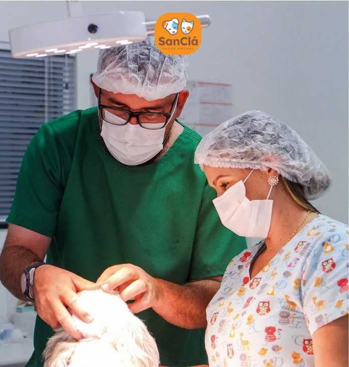 Dr. Bruno Gusmão